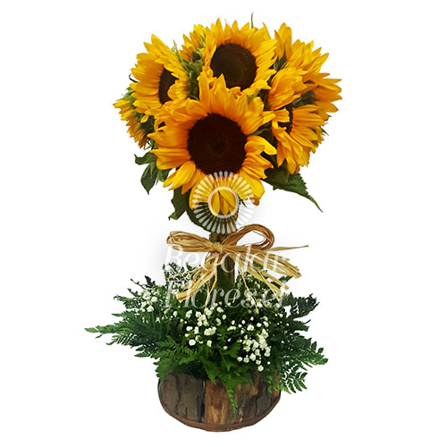 Arbol de Girasoles | Regalar Flores, Envio de flores, desayunos y regalos a domicilio