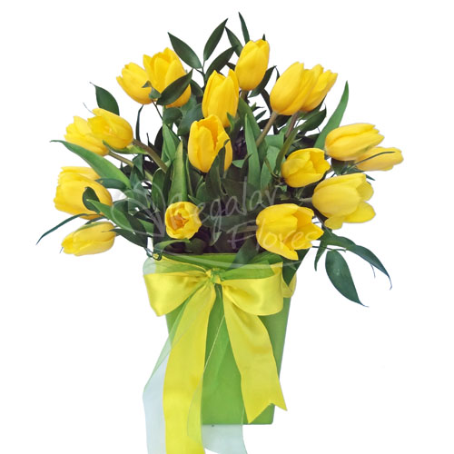 Arreglo tulipanes | Regalar Flores, Envio de flores, desayunos y regalos a domicilio