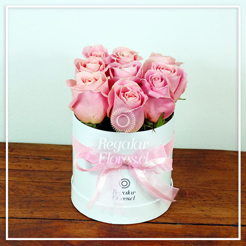 Caja cilindro blanca 9 rosas | Regalar Flores, Envio de flores, desayunos y regalos a domicilio