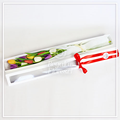 Caja 10 tulipanes | Regalar Flores, Envio de flores, desayunos y regalos a domicilio
