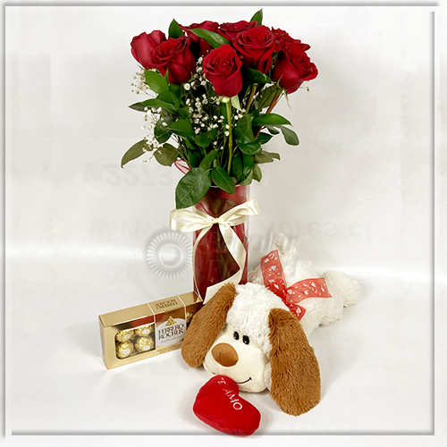 Florero 10 Rosas + Ferrero100gr + Perrito | Regalar Flores, Envio de flores, desayunos y regalos a domicilio