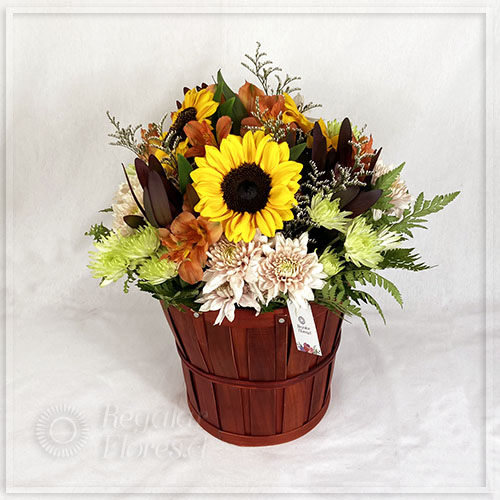 Canastillo rustico Lydia | Regalar Flores, Envio de flores, desayunos y regalos a domicilio