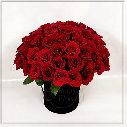 Caja terciopelo 60 rosas | Regalar Flores, Envio de flores, desayunos y regalos a domicilio
