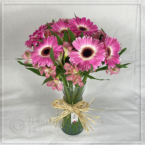 Florero gerberas y alstroemerias | Regalar Flores, Envio de flores, desayunos y regalos a domicilio