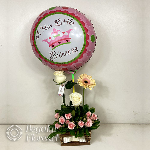 Nora con globo | Regalar Flores, Envio de flores, desayunos y regalos a domicilio