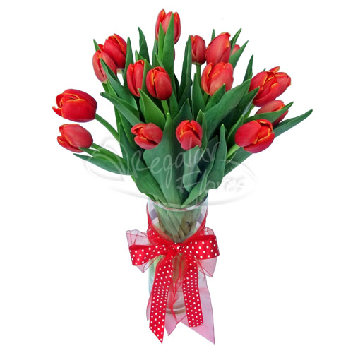 Florero 20 Tulipanes | Regalar Flores, Envio de flores, desayunos y regalos a domicilio