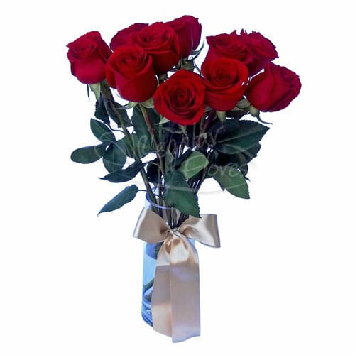Florero 12 rosas | Regalar Flores, Envio de flores, desayunos y regalos a domicilio