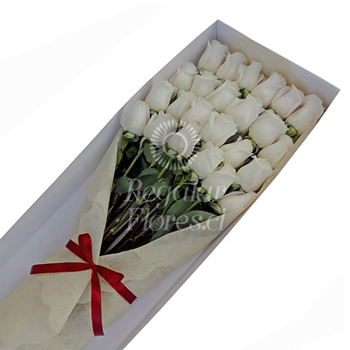 Caja 24 rosas ecuatorianas | Regalar Flores, Envio de flores, desayunos y regalos a domicilio
