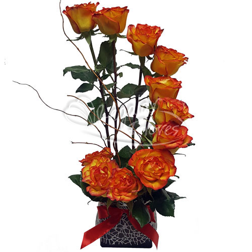 Escalera de rosas bicolor | Regalar Flores, Envio de flores, desayunos y regalos a domicilio