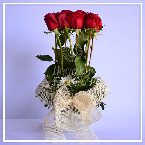 Arreglo 12 Rosas Rojas | Regalar Flores, Envio de flores, desayunos y regalos a domicilio