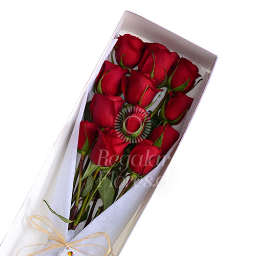 Caja 12 Rosas | Regalar Flores, Envio de flores, desayunos y regalos a domicilio