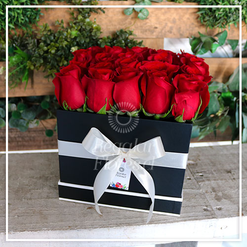 25 Rosas en Caja | Regalar Flores, Envio de flores, desayunos y regalos a domicilio