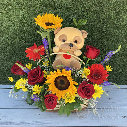 Jardín floral + perrito | Regalar Flores, Envio de flores, desayunos y regalos a domicilio