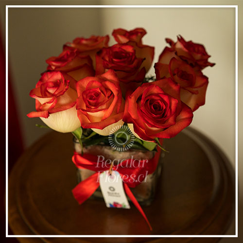 Cubo 9 rosas bicolor | Regalar Flores, Envio de flores, desayunos y regalos a domicilio