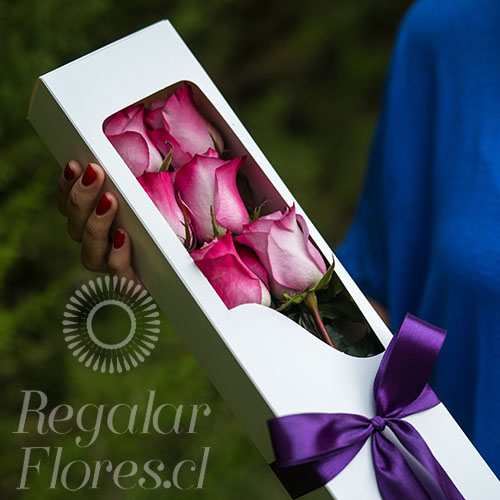 CAJA 6 ROSAS BICOLOR | Regalar Flores, Envio de flores, desayunos y regalos a domicilio