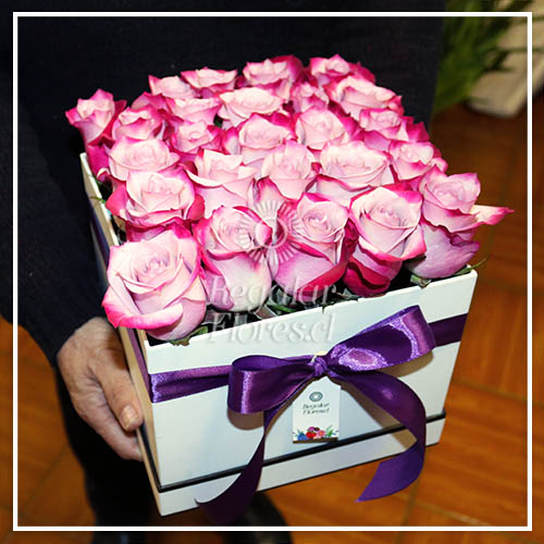 Caja 25 rosas bicolor | Regalar Flores, Envio de flores, desayunos y regalos a domicilio