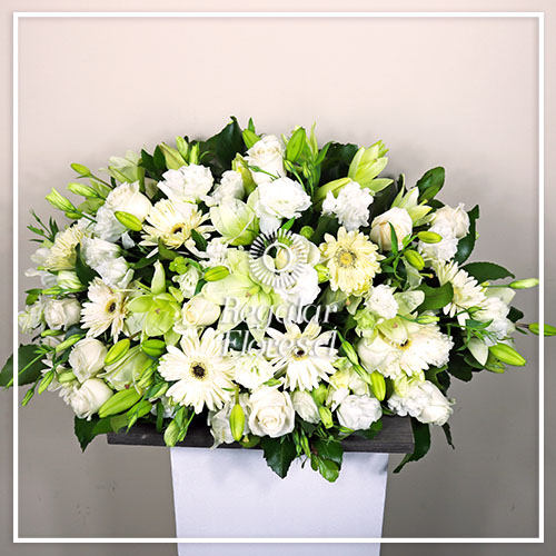 Cojin condolencia gerberas, lisianthus | Regalar Flores, Envio de flores, desayunos y regalos a domicilio