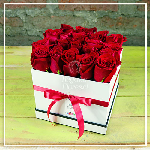 Caja 25 rosas rojas | Regalar Flores, Envio de flores, desayunos y regalos a domicilio