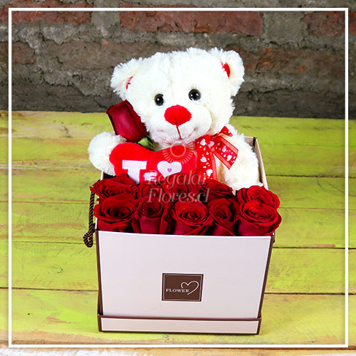 Caja rosas y peluche | Regalar Flores, Envio de flores, desayunos y regalos a domicilio