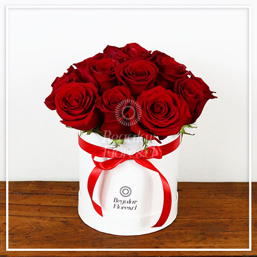 15 rosas en caja blanca | Regalar Flores, Envio de flores, desayunos y regalos a domicilio