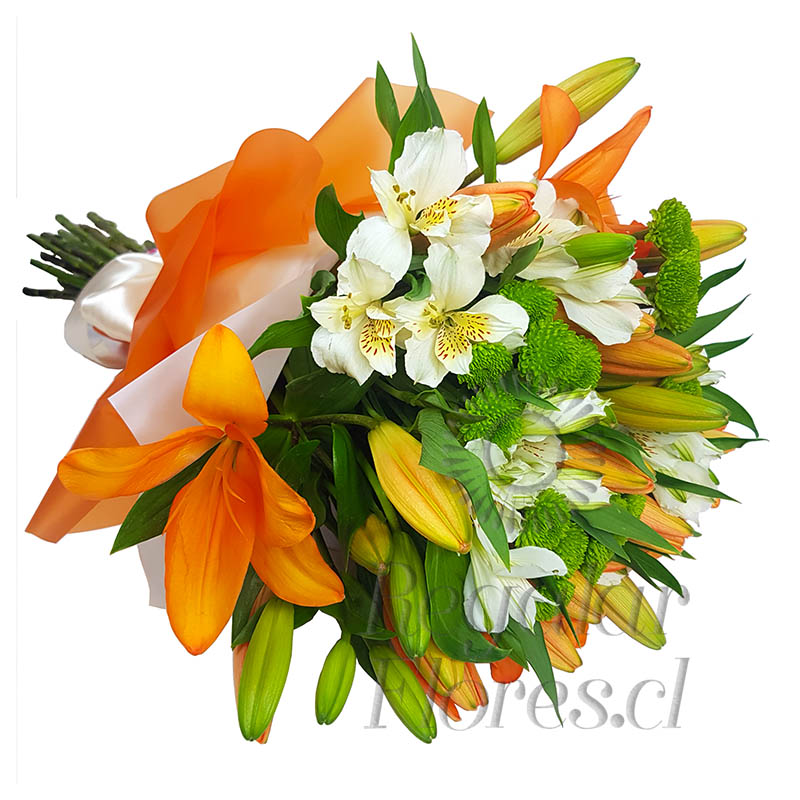Ramo Lilium, Maules y Alstroemerias | Regalar Flores, Envio de flores, desayunos y regalos a domicilio