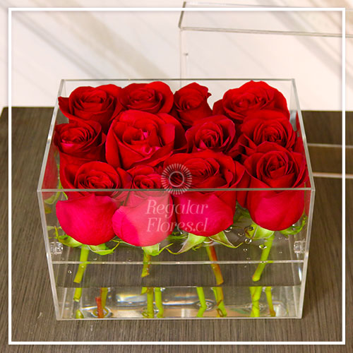 Caja acrilico 12 rosas | Regalar Flores, Envio de flores, desayunos y regalos a domicilio