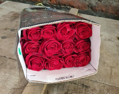 Pqt 25 varas 40 cms. Rosas Rojas | Regalar Flores, Envio de flores, desayunos y regalos a domicilio