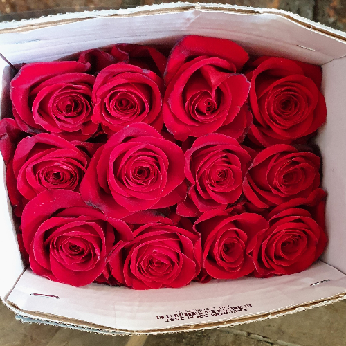 Pqt 25 varas 40 cms. Rosas Rojas | Regalar Flores, Envio de flores, desayunos y regalos a domicilio
