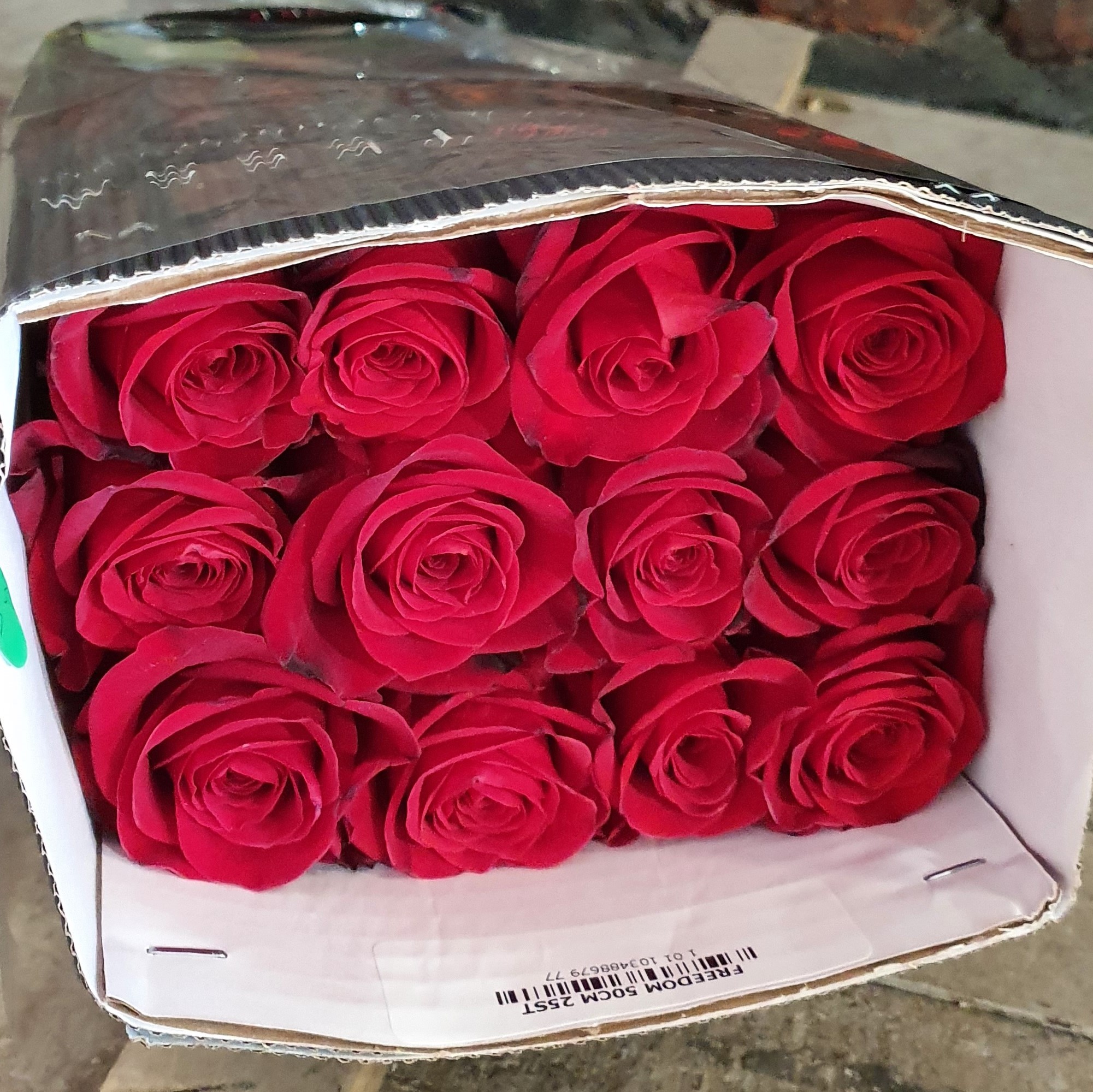 Pqt 25 varas 50 - 60 - 70cms. Rosa Rojas | Regalar Flores, Envio de flores, desayunos y regalos a domicilio
