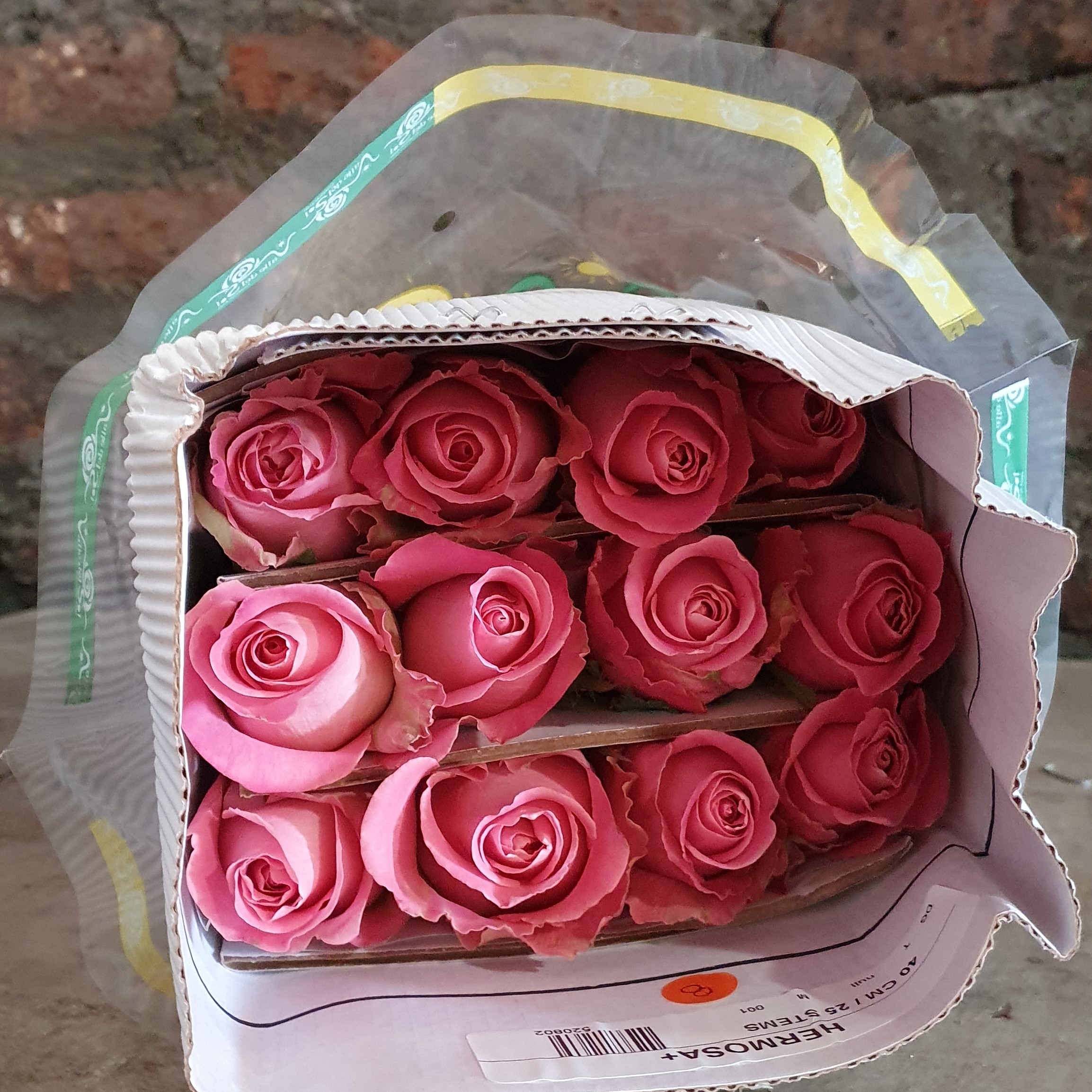Pqt 25 varas 40 cms. Rosas Rosadas | Regalar Flores, Envio de flores, desayunos y regalos a domicilio