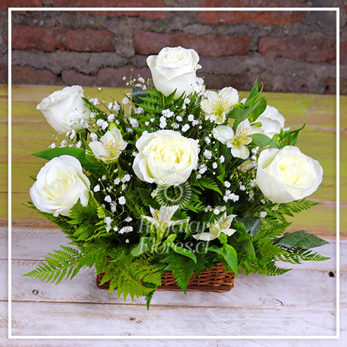 Condolencias rosas y alstroemerias | Regalar Flores, Envio de flores, desayunos y regalos a domicilio
