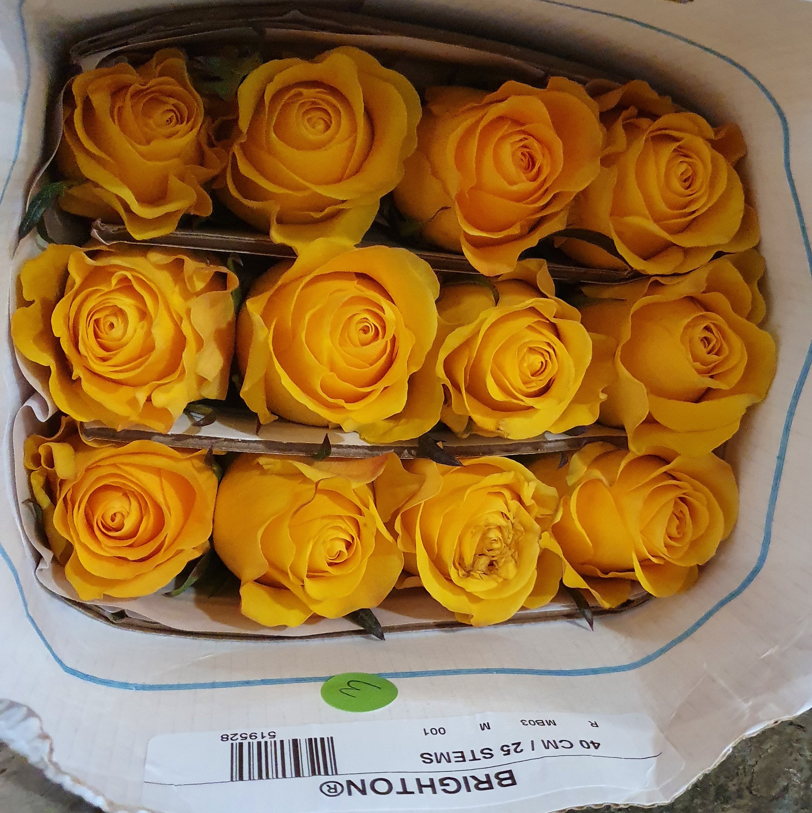 Pqt 25 varas 40 cms. Rosas Amarillas | Regalar Flores, Envio de flores, desayunos y regalos a domicilio