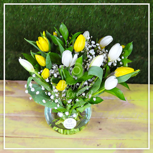 Pecera 20 tulipanes | Regalar Flores, Envio de flores, desayunos y regalos a domicilio