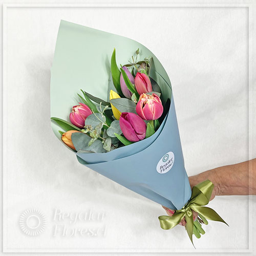 Ramo 8 tulipanes mixtos | Regalar Flores, Envio de flores, desayunos y regalos a domicilio