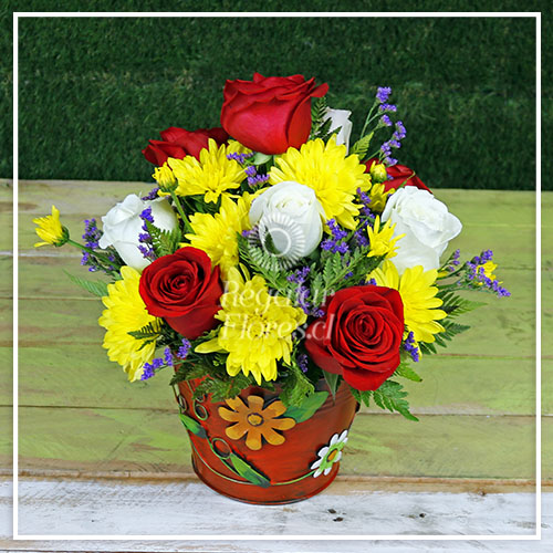 Balde rosas y crisantemos | Regalar Flores, Envio de flores, desayunos y regalos a domicilio