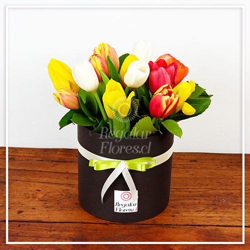Caja cilindro negra 12 tulipanes | Regalar Flores, Envio de flores, desayunos y regalos a domicilio