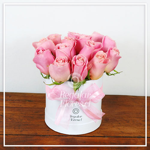 Caja cilindro blanca 15 rosas | Regalar Flores, Envio de flores, desayunos y regalos a domicilio