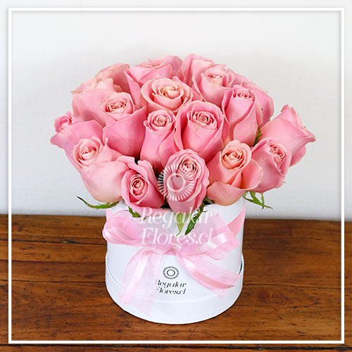 Caja cilindro blanca 21 rosas | Regalar Flores, Envio de flores, desayunos y regalos a domicilio