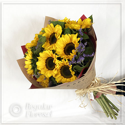 Ramo 10 girasoles | Regalar Flores, Envio de flores, desayunos y regalos a domicilio