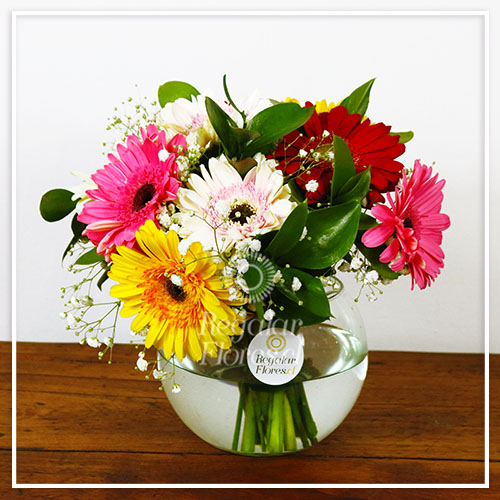 Pecera 10 gerberas | Regalar Flores, Envio de flores, desayunos y regalos a domicilio