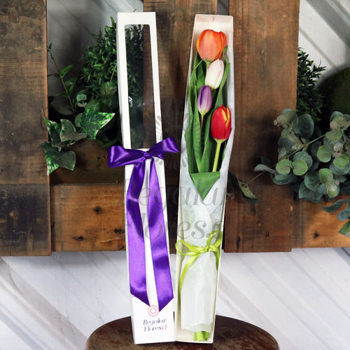 Caja 4 tulipanes mixtos | Regalar Flores, Envio de flores, desayunos y regalos a domicilio