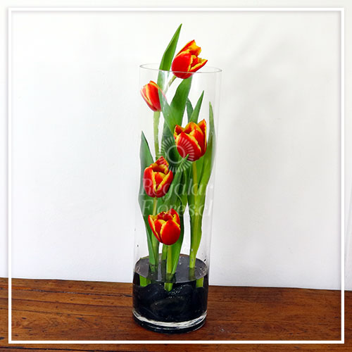 Arreglo con 5 tulipanes