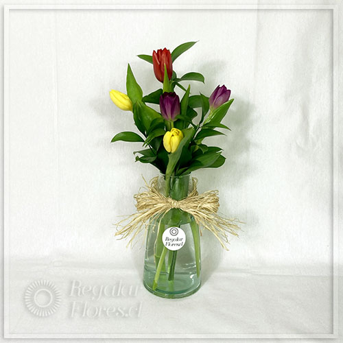 Florero con 5 tulipanes mixtos