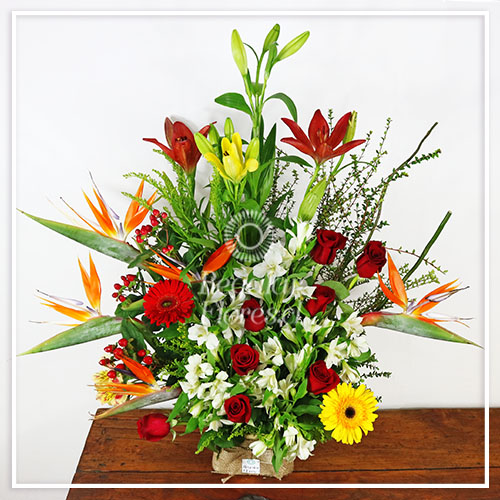 Arreglo primaveral Aves | Regalar Flores, Envio de flores, desayunos y regalos a domicilio