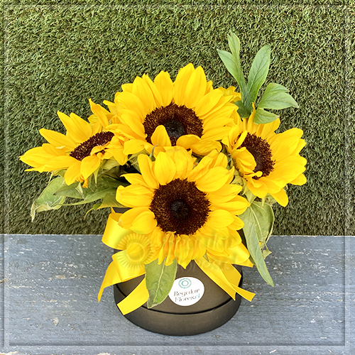 Caja cilindro 6 Girasoles | Regalar Flores, Envio de flores, desayunos y regalos a domicilio