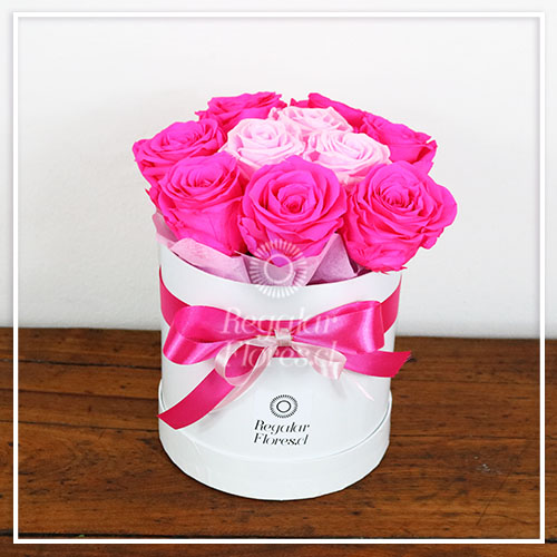 10 rosas preservadas en caja cilindro | Regalar Flores, Envio de flores, desayunos y regalos a domicilio