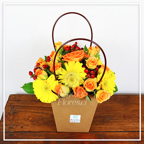 Bolsito gerberas y minirosas | Regalar Flores, Envio de flores, desayunos y regalos a domicilio