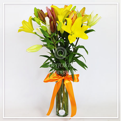 Florero 8 Lilium | Regalar Flores, Envio de flores, desayunos y regalos a domicilio