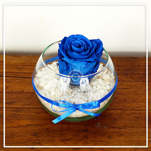Rosa Preservada Azul | Regalar Flores, Envio de flores, desayunos y regalos a domicilio