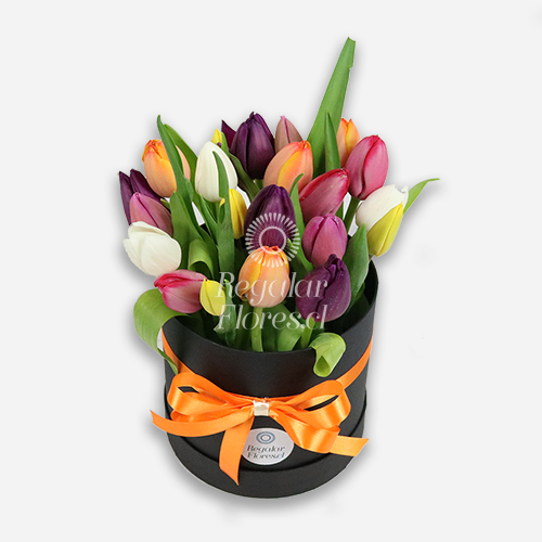 Cilindro 20 tulipanes | Regalar Flores, Envio de flores, desayunos y regalos a domicilio